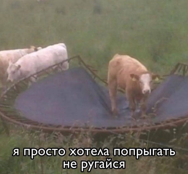 Всего понемногу. От 04.04.