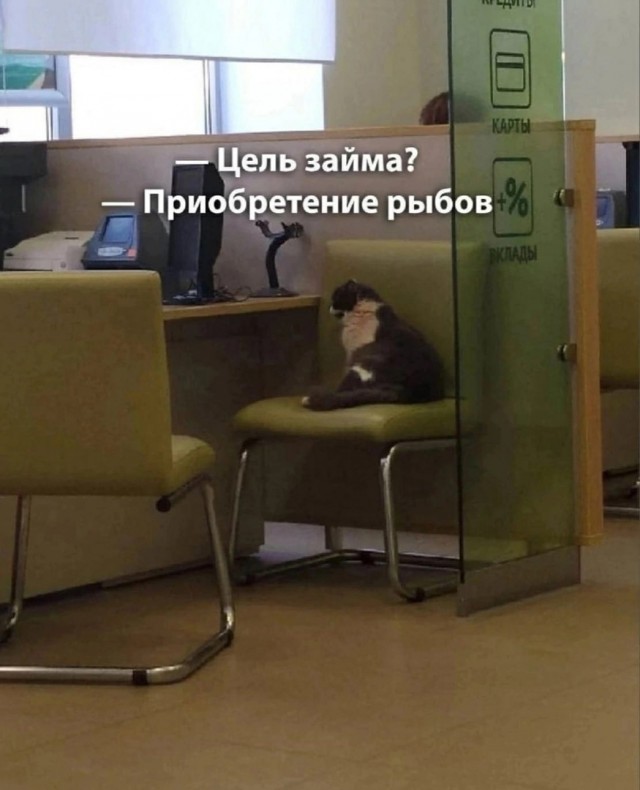 Так себе картинки 18.05.23