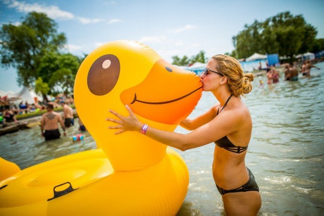 Подборка интересных и веселых картинок