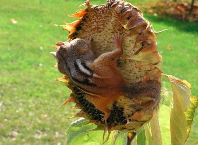 Так себе картинки 27.08.23