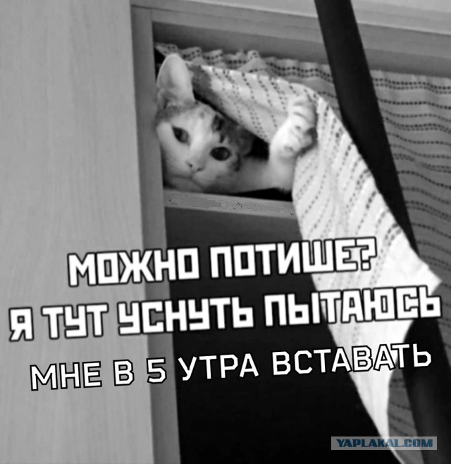 «Вот теперь ты мужчина», — сказала она, радостно схватив его за палку