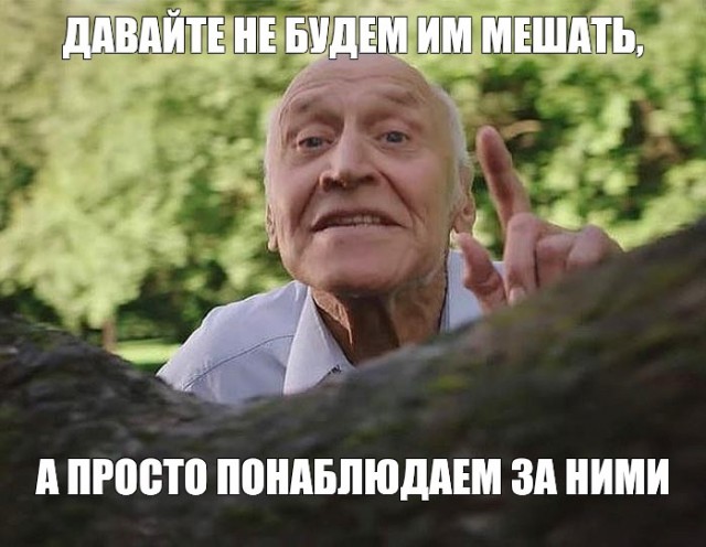 На оптовой овощной базе в Орске произошла массовая драка мигрантов