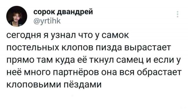 Чёрно-пошлая пятница для деградантов