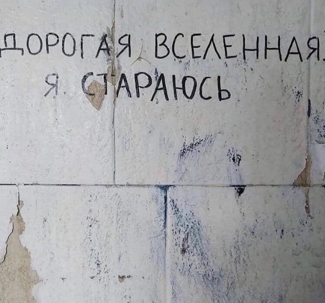 Так себе картинки 29.10.23