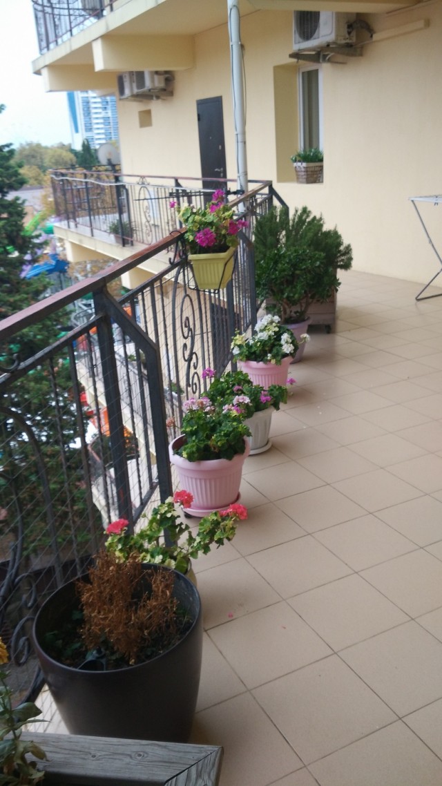 ККК Лазаревское, начало сентября