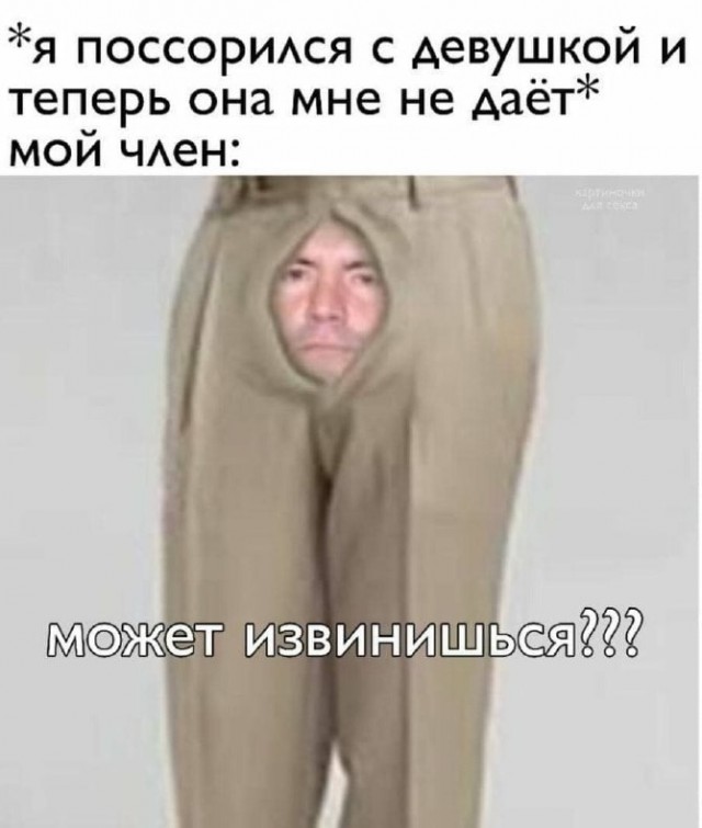 10 картинок