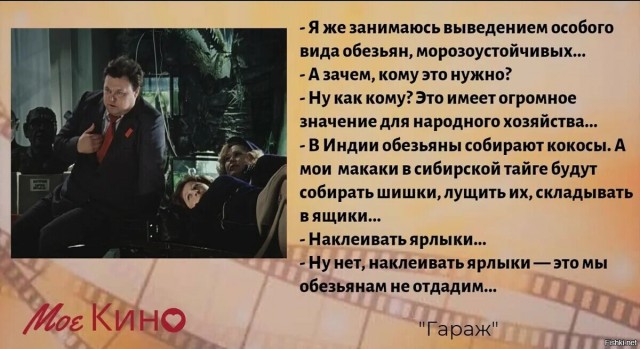 Отключили WhatsApp и Telegram из-за того, что таджики убили якута
