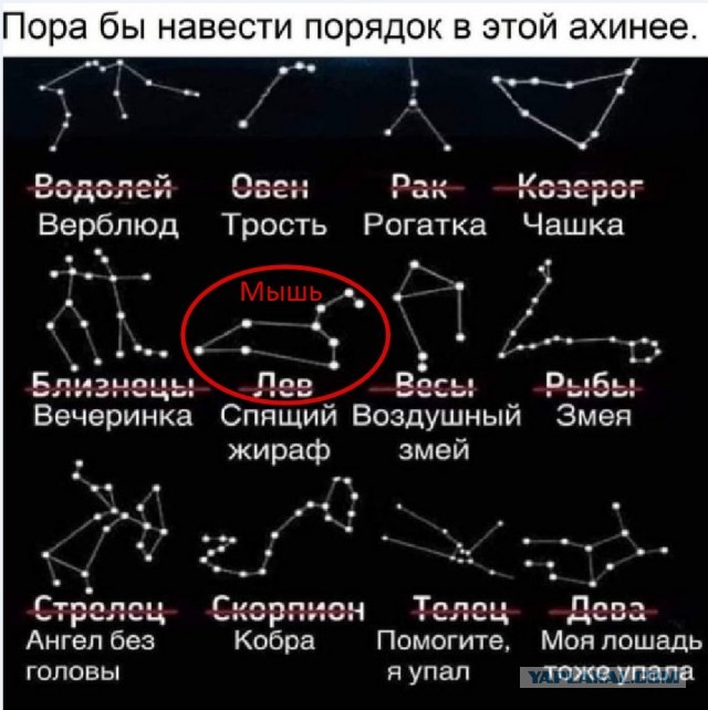 Маленькая пятница