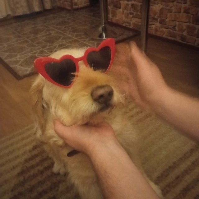 Собакочетверг