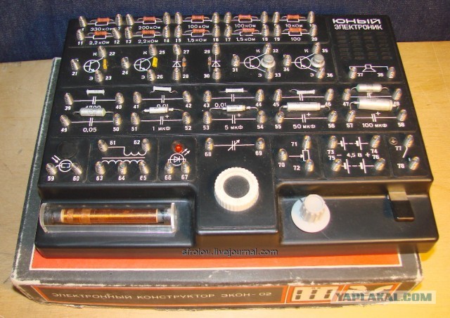 Суровая правда