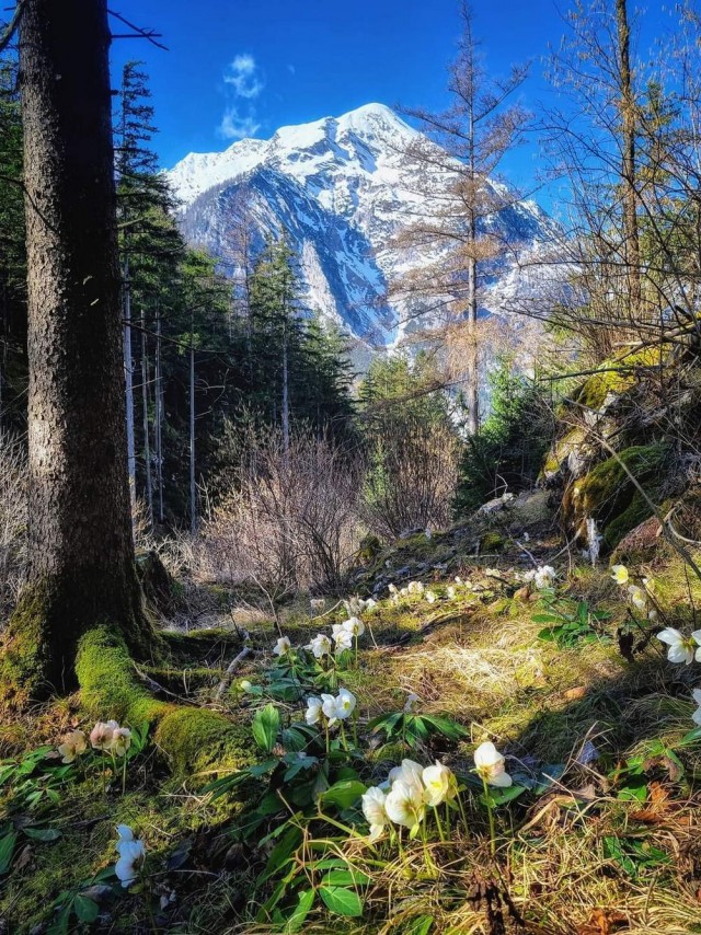ФотоВинегрет