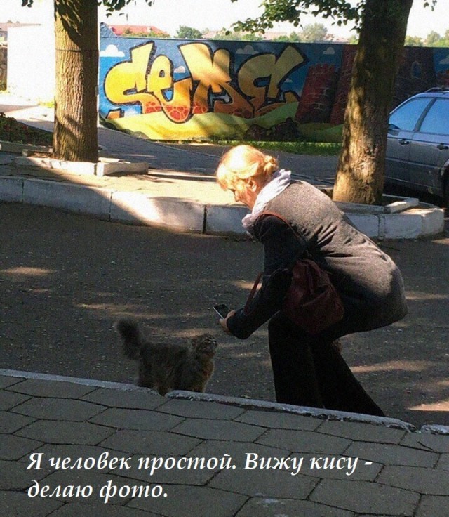 Весёлый полтишок 13.08.24