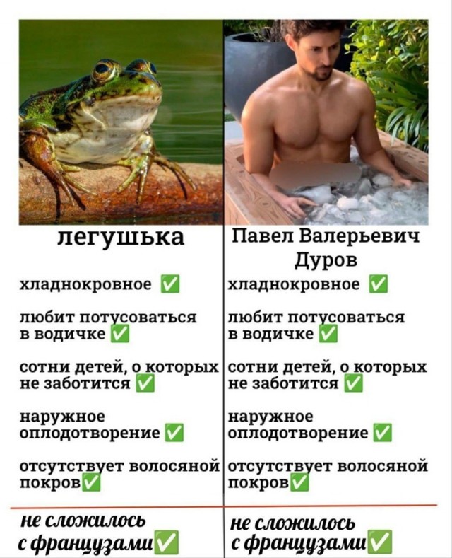 Матрица на новый лад