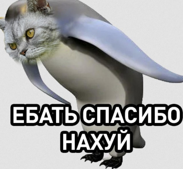 Курс прослушал