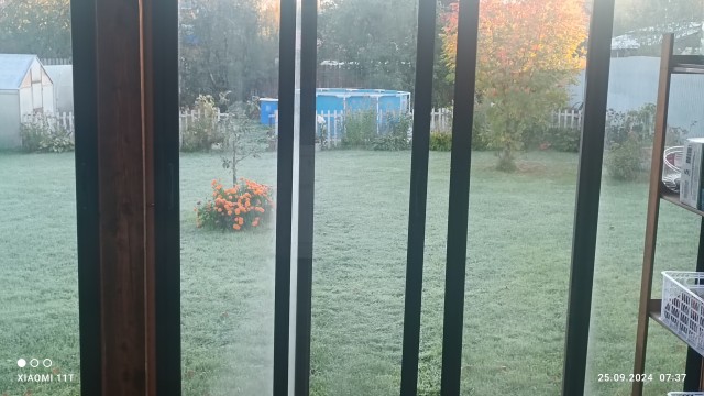 Вид из окна