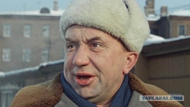 В меру упитанная, в самом рассвете сил