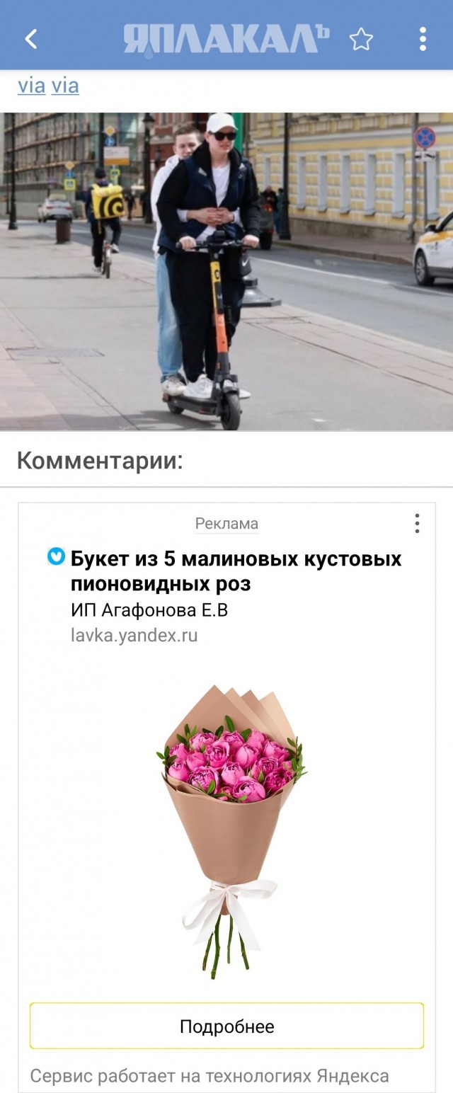 "Петушеринг" не будет прежним