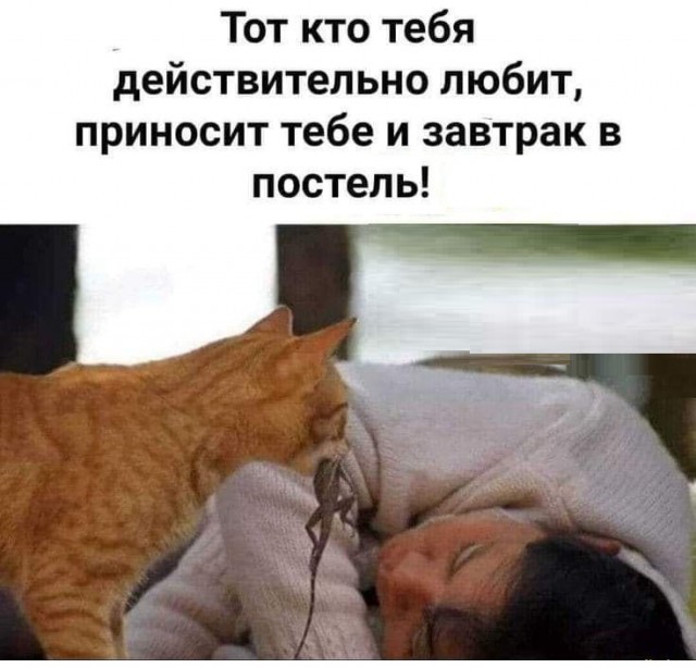 Картинки разные с надписями и без