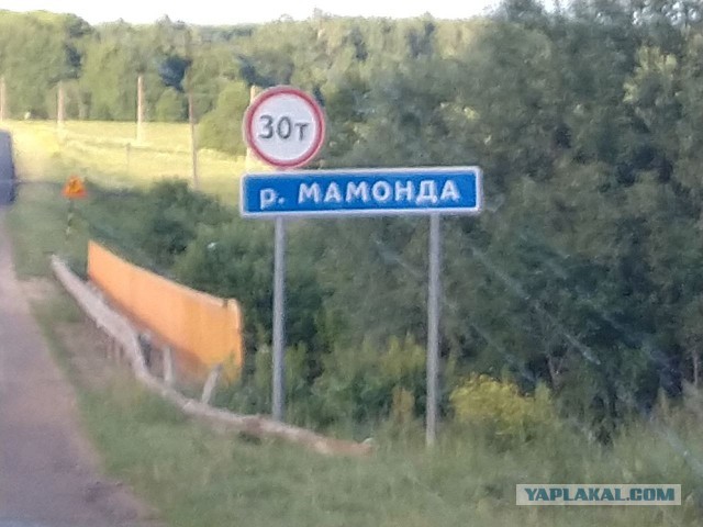 Фото с телефона