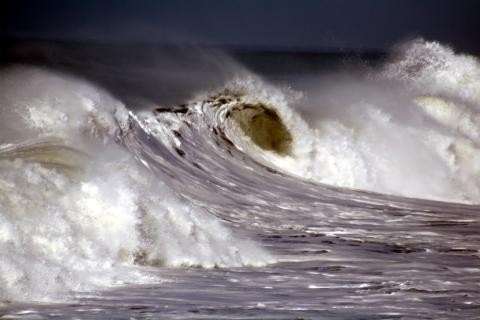 Нас ждет потоп: NASA бьет тревогу из-за мирового океана