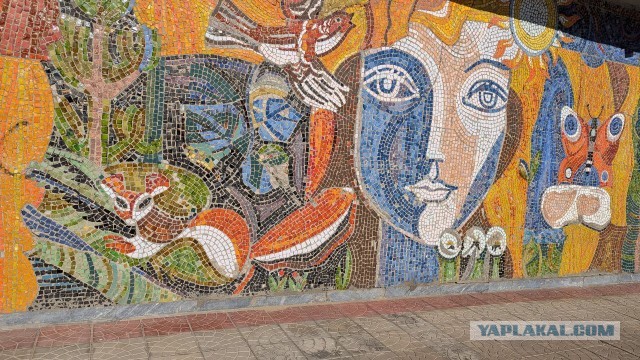 Привет из ночной Черноголовки