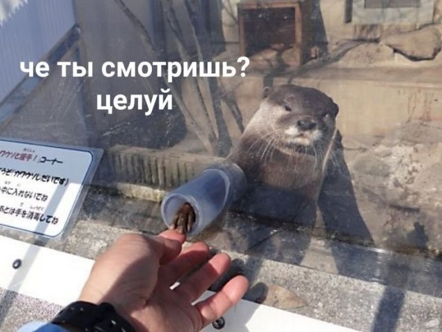 Завалялось тут случайно немного забавных картинок