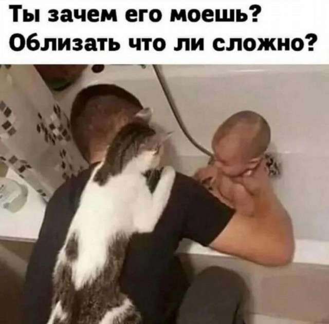 Картинки своеобразного юмора