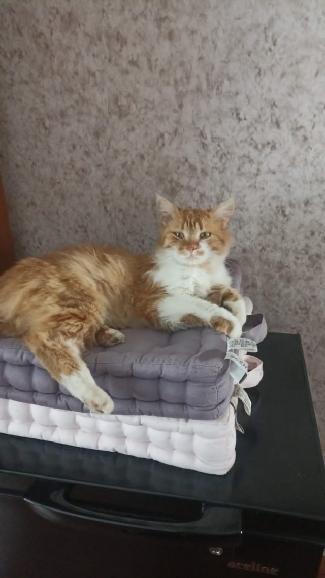 Его первый вторник