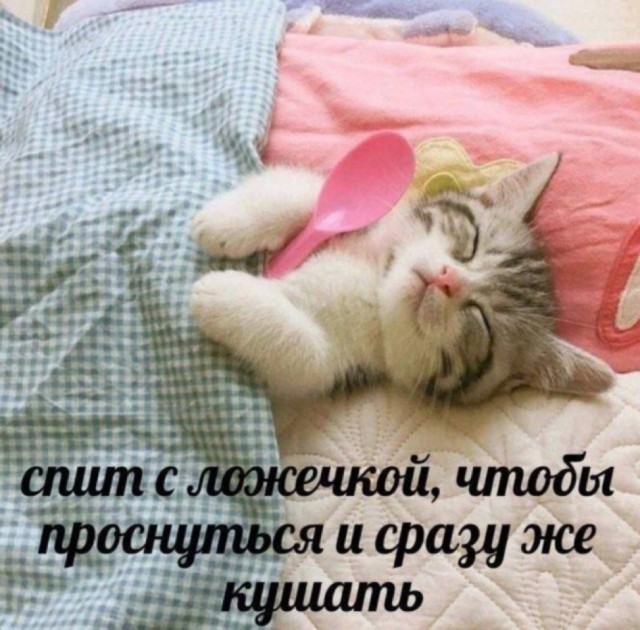 Дегрономикон 5