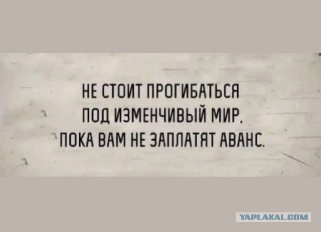 Картиночки, баянчики 10 декабря