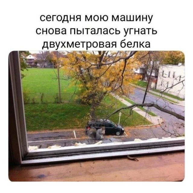 Четверговые картинки