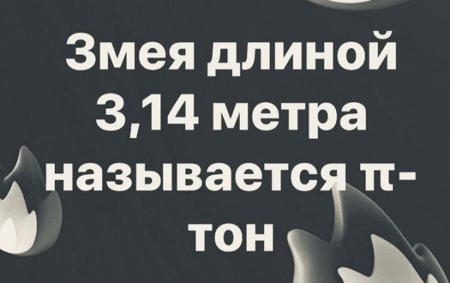 Так себе картинки 21.12.25