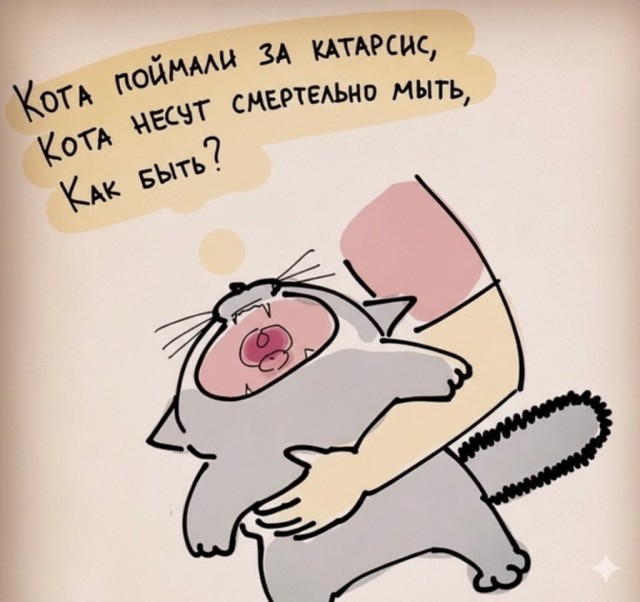 Так себе картинки 25.01.26