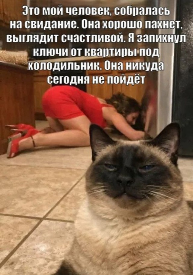 Картинки для деградации 145 (разной степени свежести)