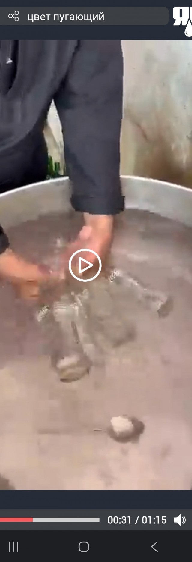 Мультибрендовая газировка