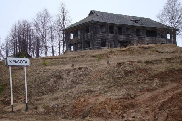Так себе картинки 19.03.26
