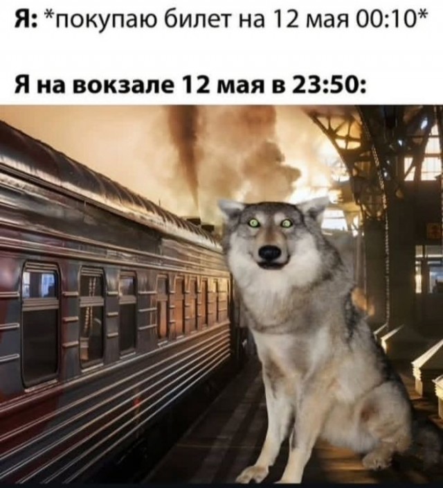 Картинки для деградации 174 (разной степени свежести)