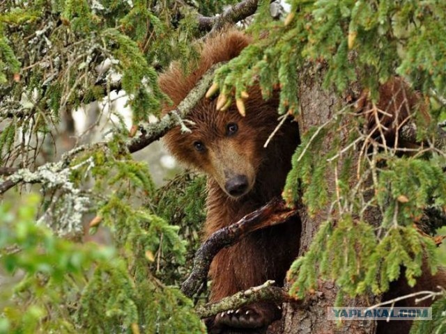 Хорошо отдохнула!