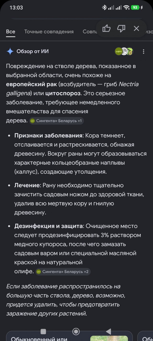 Братья и сестры..