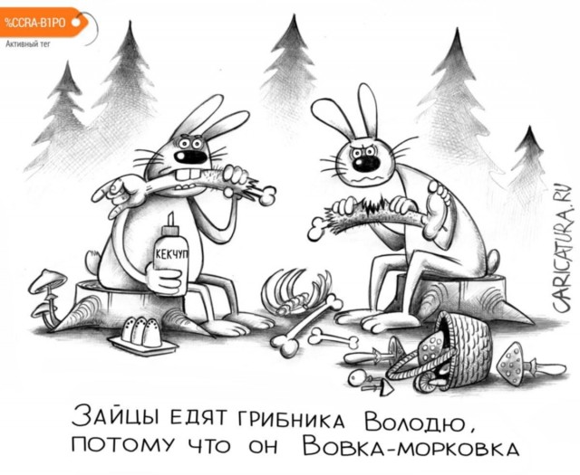 Заяц: Не трус, а воин. Чтобы выжить - ломает кости. Свои и чужие. Мифы и правда о "сереньком трусишке"