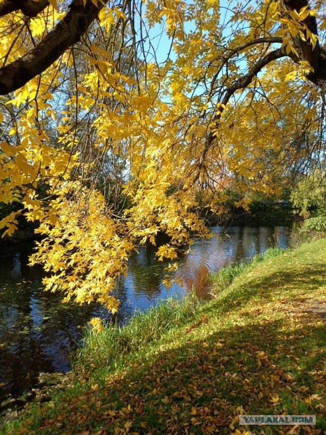 October