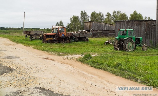 Экстримальная поездка за грибами.