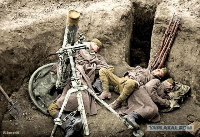 Великая Отечественная Война в цвете