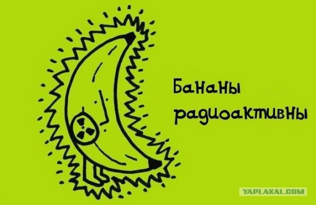 Занимательные факты в картинках