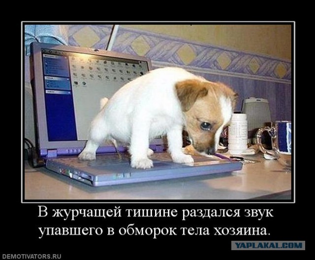 Демотиваторов пост