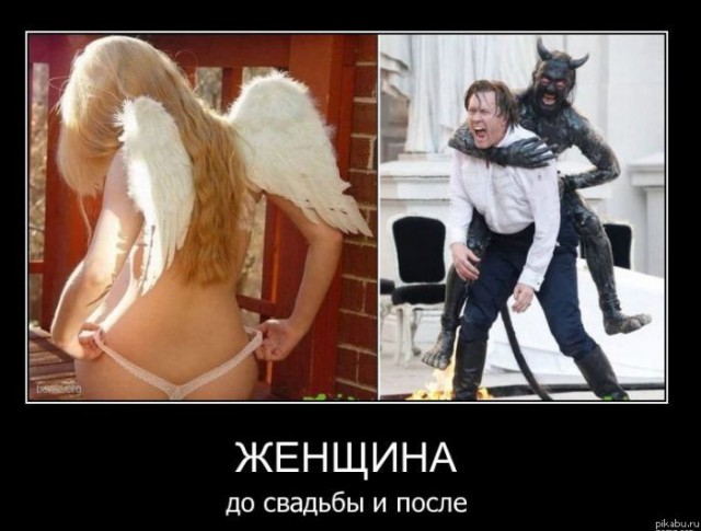 Все женщины ко... Или, разведем БАБОсрач.