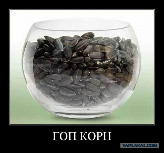 Веселые картинки