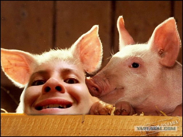 Отфотошопте моё фото