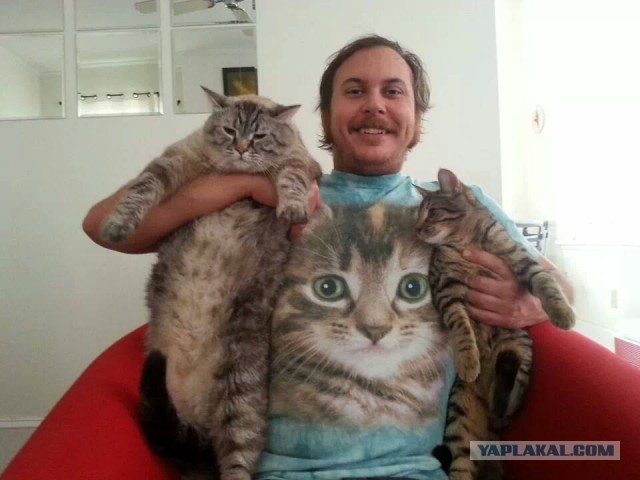 Самые крупные коты