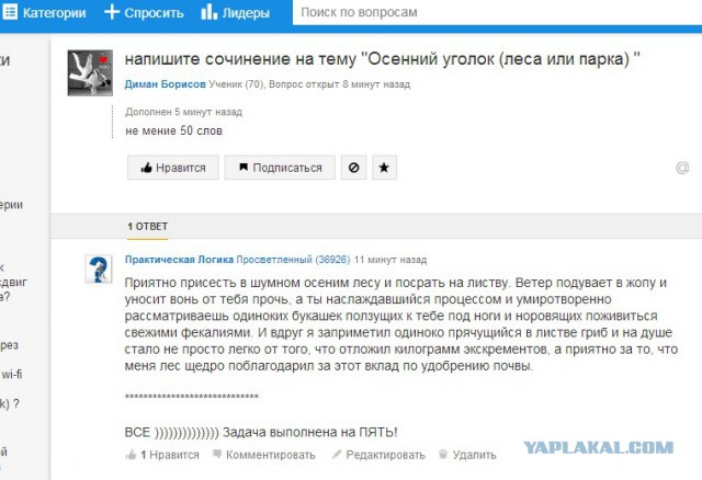 Смешные комментарии 25.01.2015